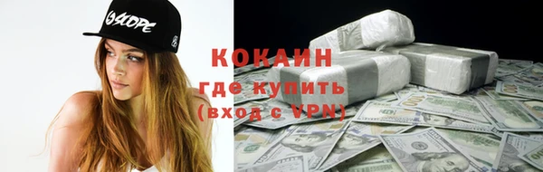 гашик Алексин
