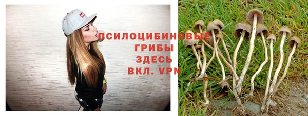 мяу мяу мука Абинск